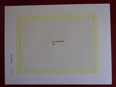 Henri Cartier-Bresson - Cochons - Photolithographie 2