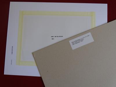 Henri Cartier-Bresson - Cochons - Photolithographie 2