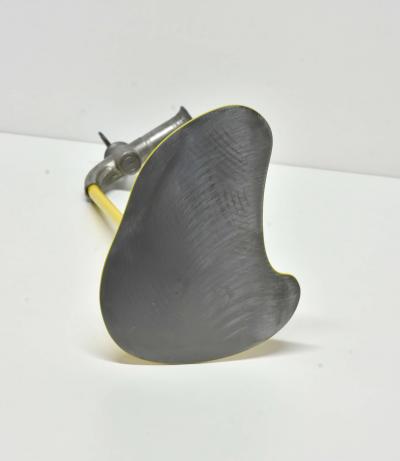 Yannick Bouillault - Lemon juice - Acier et Etain 2