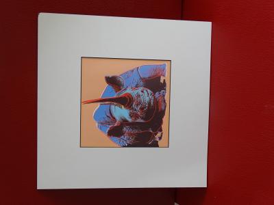 Andy Warhol - Rhino , from Endangered Species -  1987, serigrahy 2
