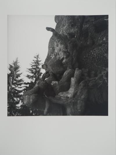 Dora MAAR : Le Palais sculpté, Photographie originale 2