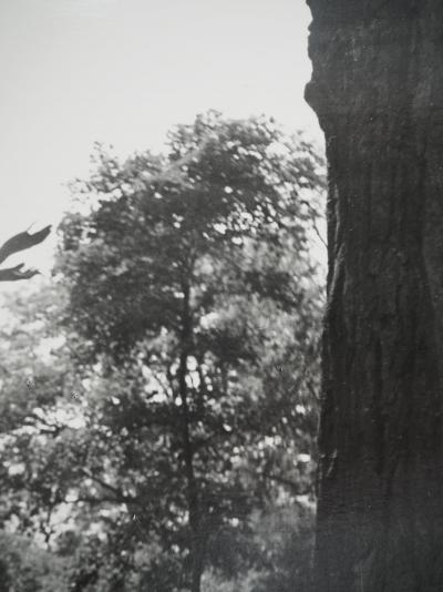 Dora MAAR : L'envolée, Photographie originale 2