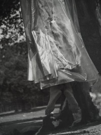 Dora MAAR : Reconnexion avec la nature, Photographie originale 2
