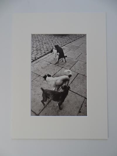 Henri Cartier-Bresson - Dogs- Photolithograph 2