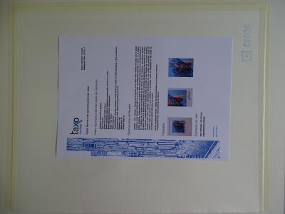 Andy Warhol (after), Superman ,  Lithograph 2