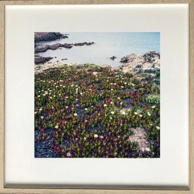 José Nicolas - Saint Tropez, the good land 2016 - Fine Art Print 2