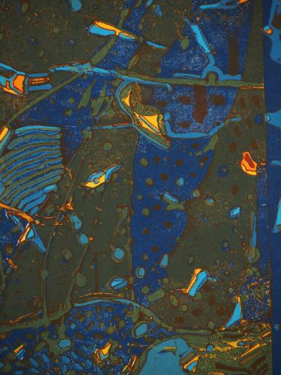 Jean-Pierre VIELFAURE: Underwater Diving, Original Signed Lithograph 2