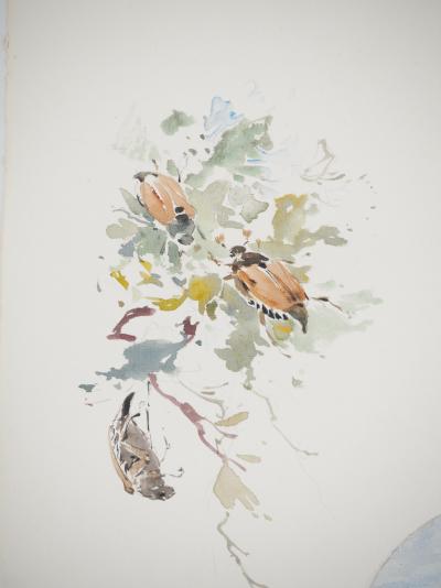 René LEVERD : Suisse, Promenade champêtre et insectes, Aquarelle originale signée 2