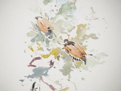 René LEVERD : Suisse, Promenade champêtre et insectes, Aquarelle originale signée 2