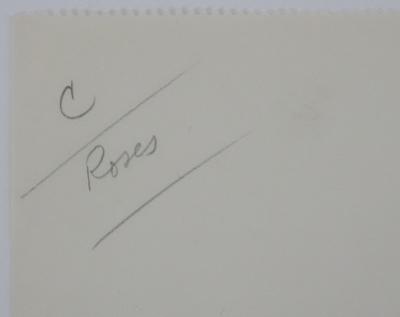 Jean-Emile LABOUREUR: Roses, Original Drawing 2