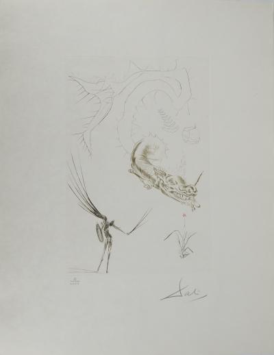 Salvador DALI : Tristan et le dragon, Gravure originale signée 2