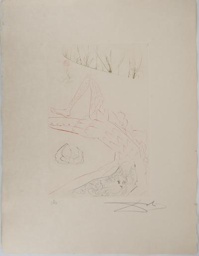 Salvador DALI : Tristan blessé, Gravure originale signée 2