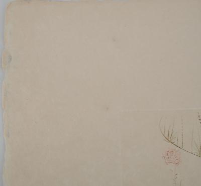 Salvador DALI : Tristan blessé, Gravure originale signée 2