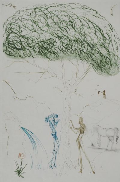 Salvador DALI : Sous le pin parasol, Gravure originale signée 2