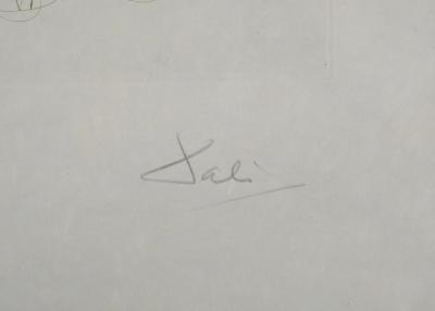 Salvador DALI: Brother Ogrin, the Hermit, Original signed engraving 2