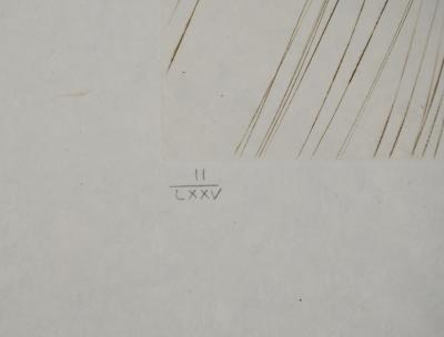Salvador DALI : La reine à la tunique de soie, Gravure originale signée 2