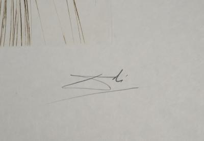 Salvador DALI : La reine à la tunique de soie, Gravure originale signée 2