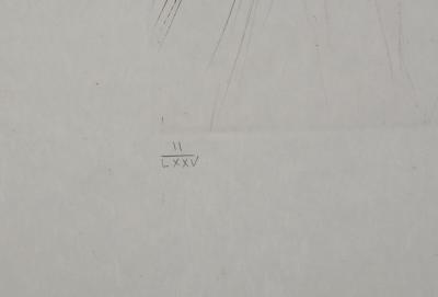 Salvador DALI: The Giant Beliagog, Original signed engraving 2