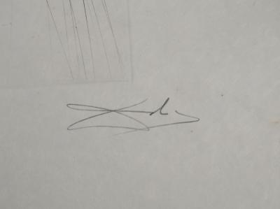 Salvador DALI: The Giant Beliagog, Original signed engraving 2