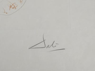 Salvador DALI : Tristan le fou, Gravure originale signée 2