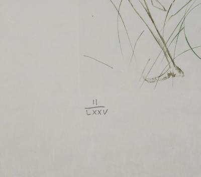 Salvador DALI : Dernier combat de Tristan, Gravure originale signée 2