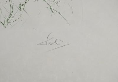 Salvador DALI : Dernier combat de Tristan, Gravure originale signée 2