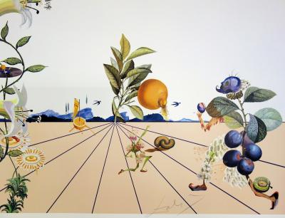 Salvador DALI - Flordali I, 1981 - Lithographie originale signée 2
