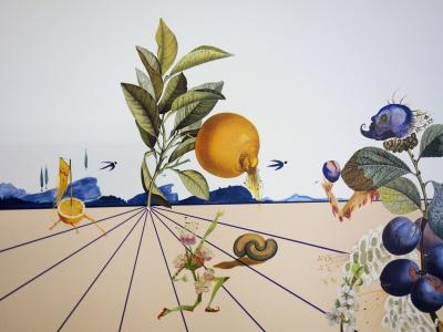 Salvador DALI - Flordali I, 1981 - Lithographie originale signée 2