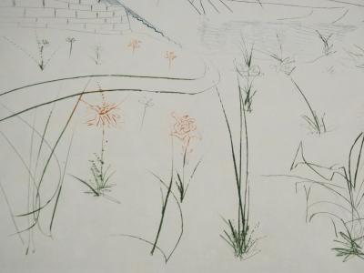 Salvador DALI : L'arrivée d'Iseult, Gravure originale signée 2