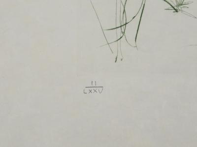 Salvador DALI : L'arrivée d'Iseult, Gravure originale signée 2