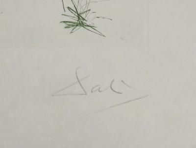 Salvador DALI : L'arrivée d'Iseult, Gravure originale signée 2