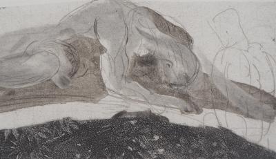 Auguste RODIN : Attaché au rocher, Gravure 2
