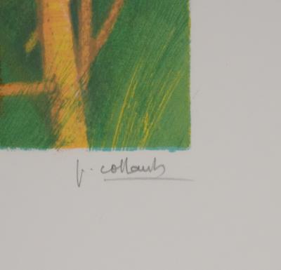 Paul COLLOMB : Le chat endormi, Lithographie originale signée 2
