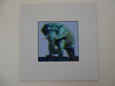 Andy Warhol - elephant , from Endangered Species -  1987, serigrahy 2