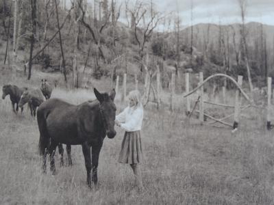 Jock STURGES - Misty Dawn, Californie, 1996-1993. Photographie signée et numérotée à la main. 2