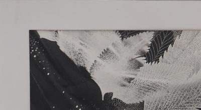 Irina IONESCO : Jeune fille aux plumes, Tirage argentique original 2