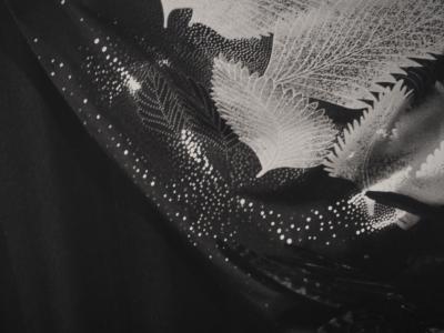 Irina IONESCO : Jeune fille aux plumes, Tirage argentique original 2