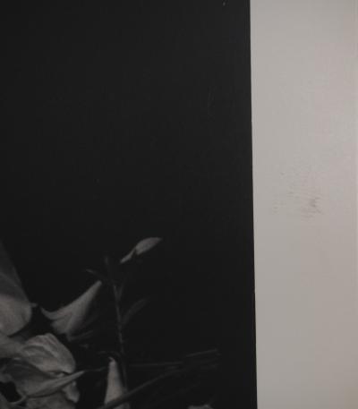 Irina Ionesco: The Newlyweds, Original silver gelatin print 2