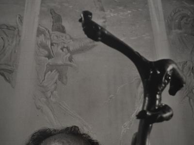 Marc Lacroix: Dali brandishing his cane, Original signed photograph 2