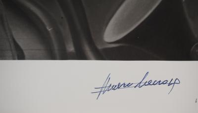 Marc Lacroix: Dali brandishing his cane, Original signed photograph 2