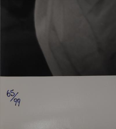 Marc LACROIX : Dali aux fleurs blanches, Photographie originale signée 2