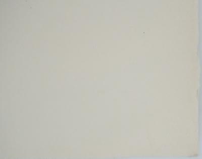 Marcel MOULY : Combat rouge, Lithographie originale signée 2