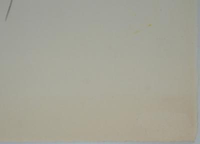 Marcel MOULY : Combat dans la brèche, Lithographie originale signée 2