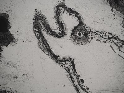 Bengt LINDSTROM : Animal totémique, Gravure originale signée 2