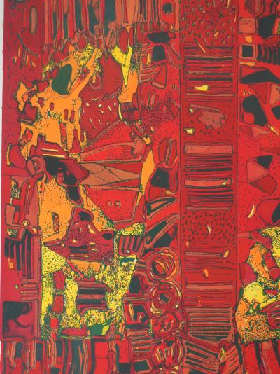 Jean-Pierre VIELFAURE: The Chaos Within, Original signed lithograph 2