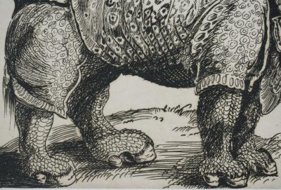 Albrecht DURER : Le Rhinocéros, Gravure signée 2