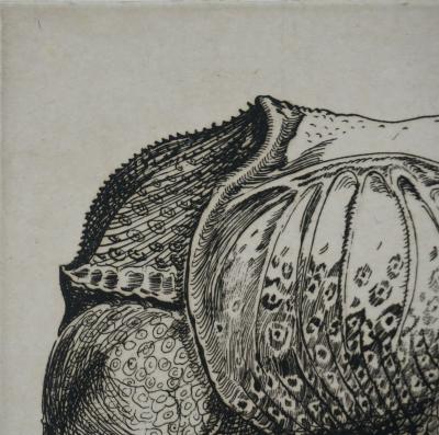 Albrecht DURER : Le Rhinocéros, Gravure signée 2