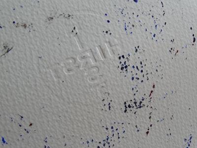 Damien Hirst- Circle Spin painting  - 2009, unique 2