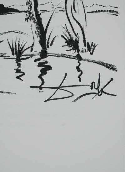 Salvador Dali : Don Quichotte, Gravure originale signée 2