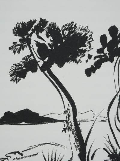 Salvador Dali : Don Quichotte, Gravure originale signée 2